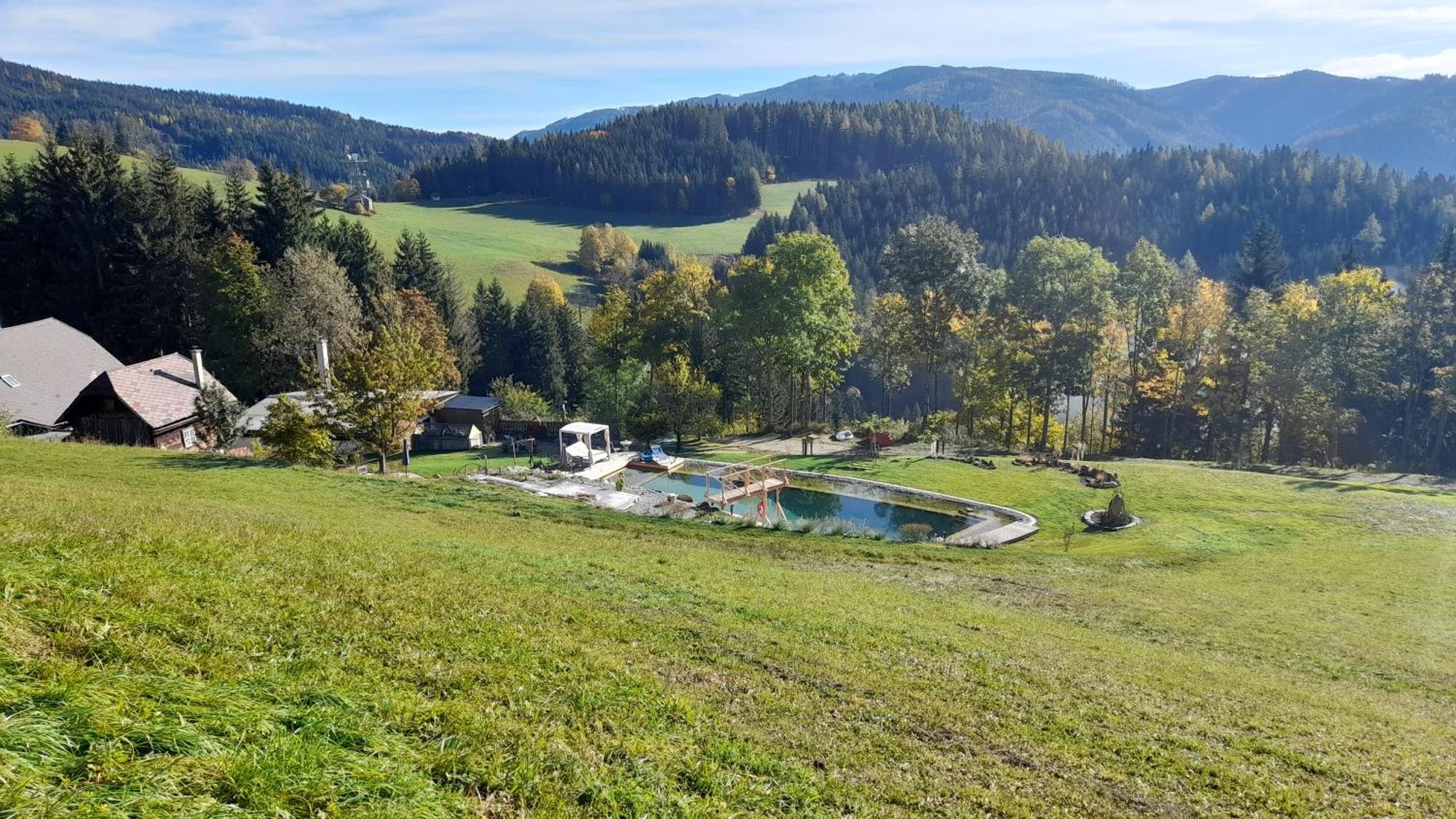 Ferienhaus Pliescherhof Villa Turnau ภายนอก รูปภาพ