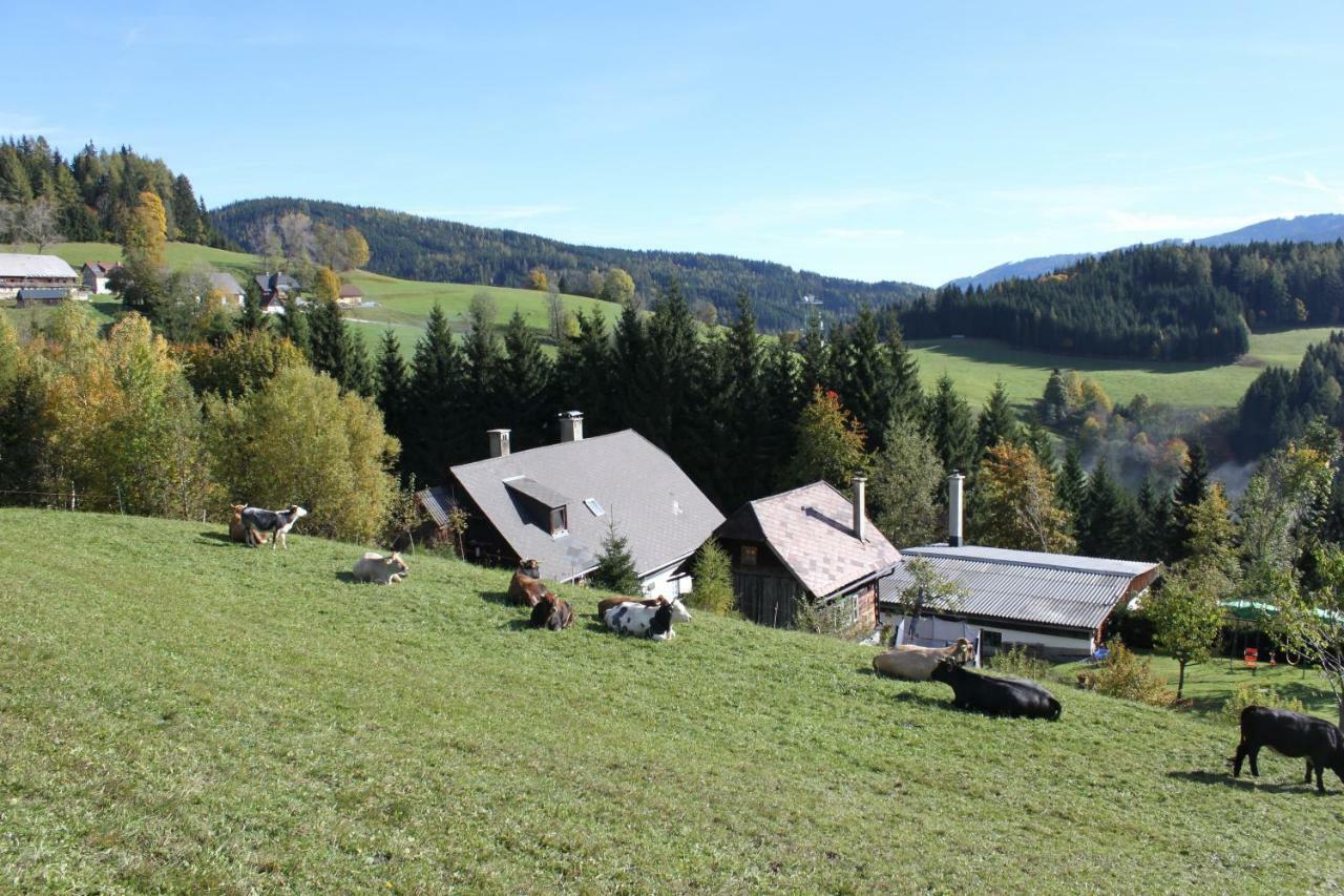 Ferienhaus Pliescherhof Villa Turnau ภายนอก รูปภาพ